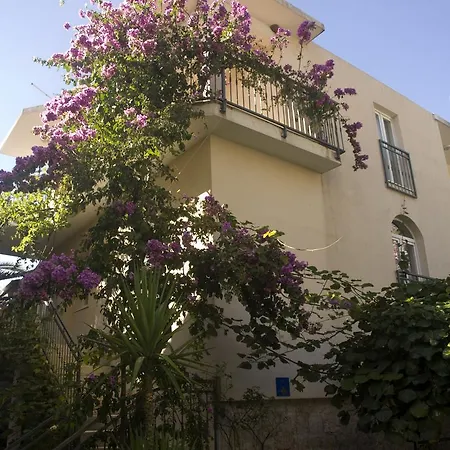 Marino * Drvenik (Split-Dalmatia)