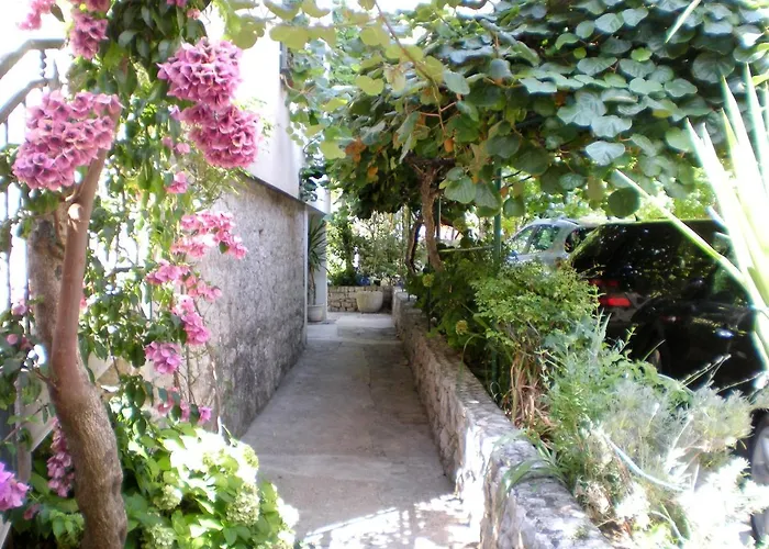Marino Drvenik (Split-Dalmatia)