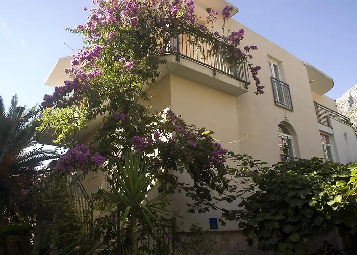 Marino * Drvenik (Split-Dalmatia)